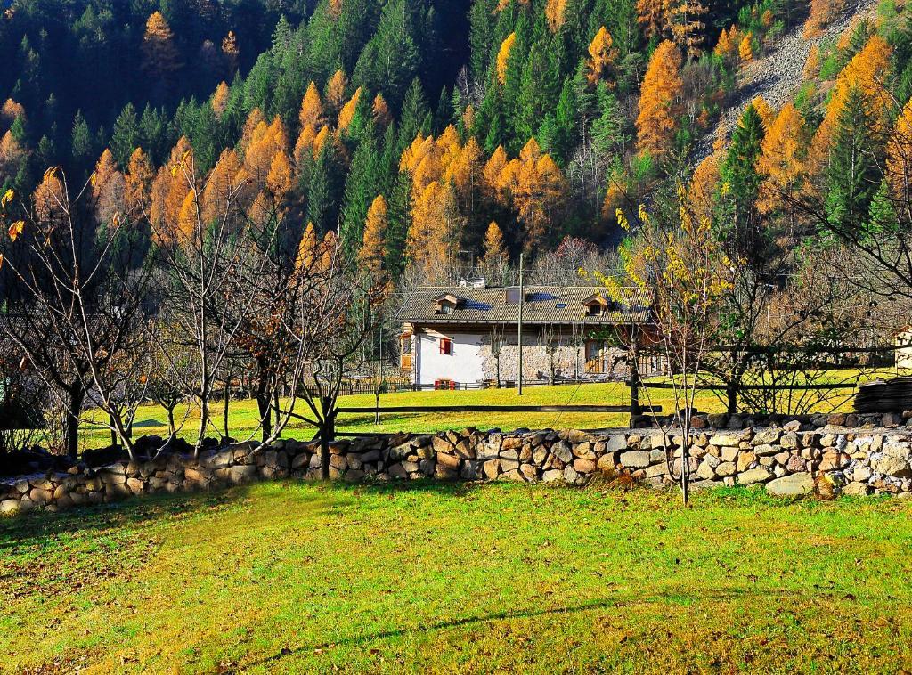 Bed and Breakfast Maso Franceschella Carano  Exterior foto